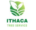 Ithaca Tree Service logo